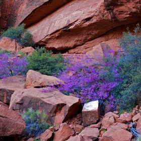 Color behind Tuacahn