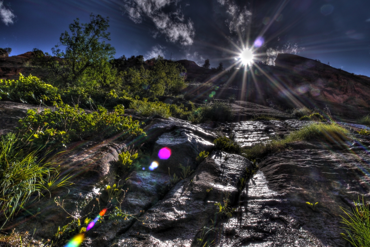 Zion_narrows_sun